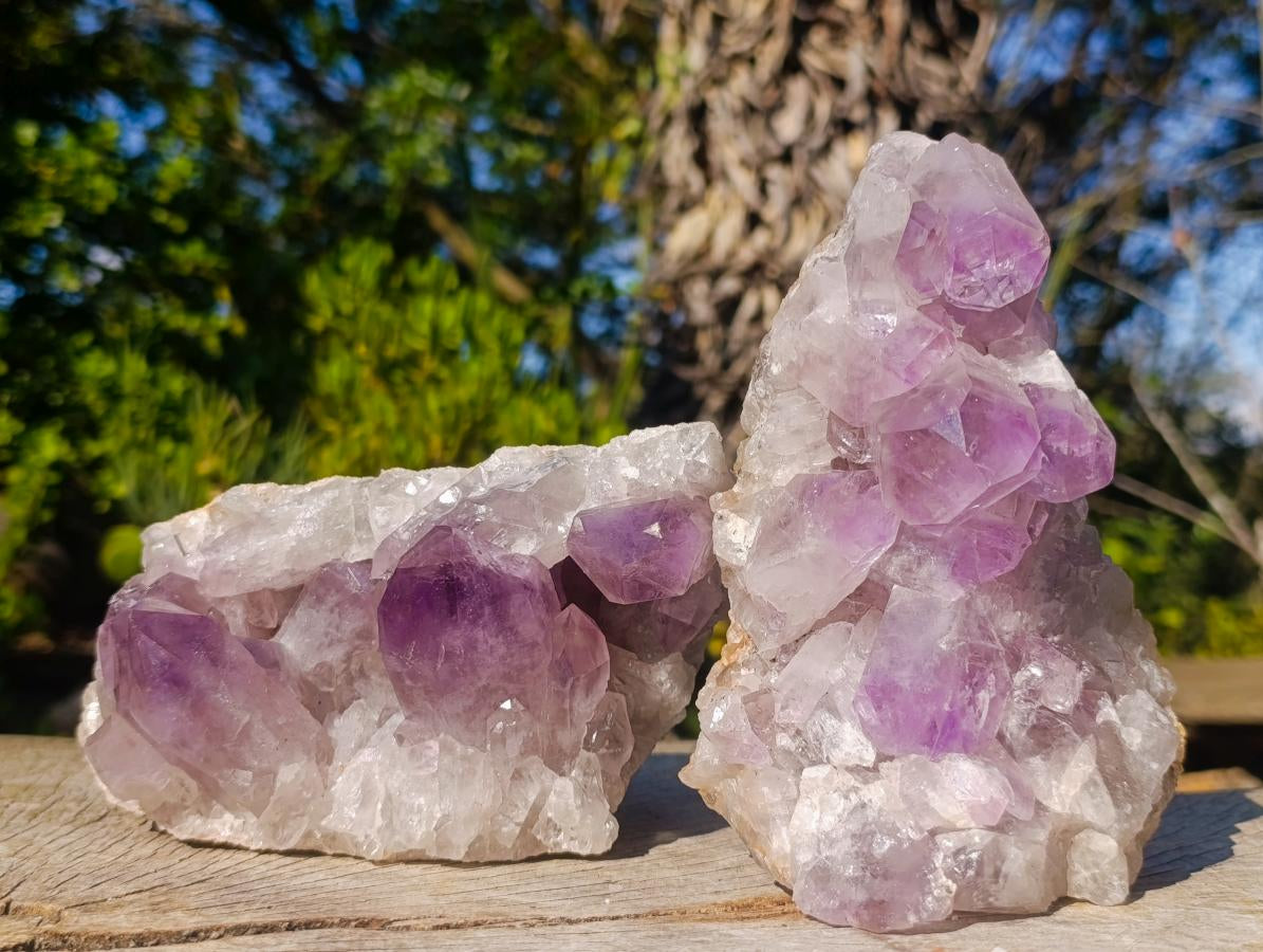 Natural Jacaranda Amethyst Crystal Clusters x 2 From Mumbwa, Zambia - Toprock Gemstones and Minerals 