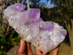 Natural Jacaranda Amethyst Crystal Clusters x 2 From Mumbwa, Zambia - Toprock Gemstones and Minerals 
