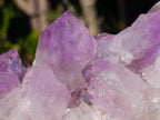 Natural Jacaranda Amethyst Crystal Clusters x 2 From Mumbwa, Zambia - Toprock Gemstones and Minerals 