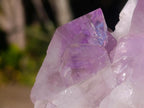 Natural Jacaranda Amethyst Crystal Clusters x 2 From Mumbwa, Zambia - Toprock Gemstones and Minerals 
