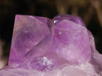 Natural Jacaranda Amethyst Crystal Clusters x 2 From Mumbwa, Zambia - Toprock Gemstones and Minerals 