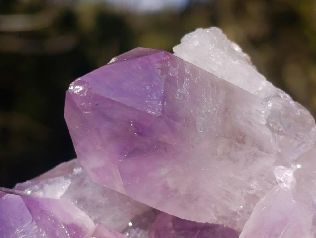 Natural Jacaranda Amethyst Crystal Clusters x 2 From Mumbwa, Zambia - Toprock Gemstones and Minerals 