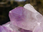 Natural Jacaranda Amethyst Crystal Clusters x 2 From Mumbwa, Zambia - Toprock Gemstones and Minerals 