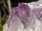 Natural Jacaranda Amethyst Crystal Clusters x 2 From Mumbwa, Zambia - Toprock Gemstones and Minerals 