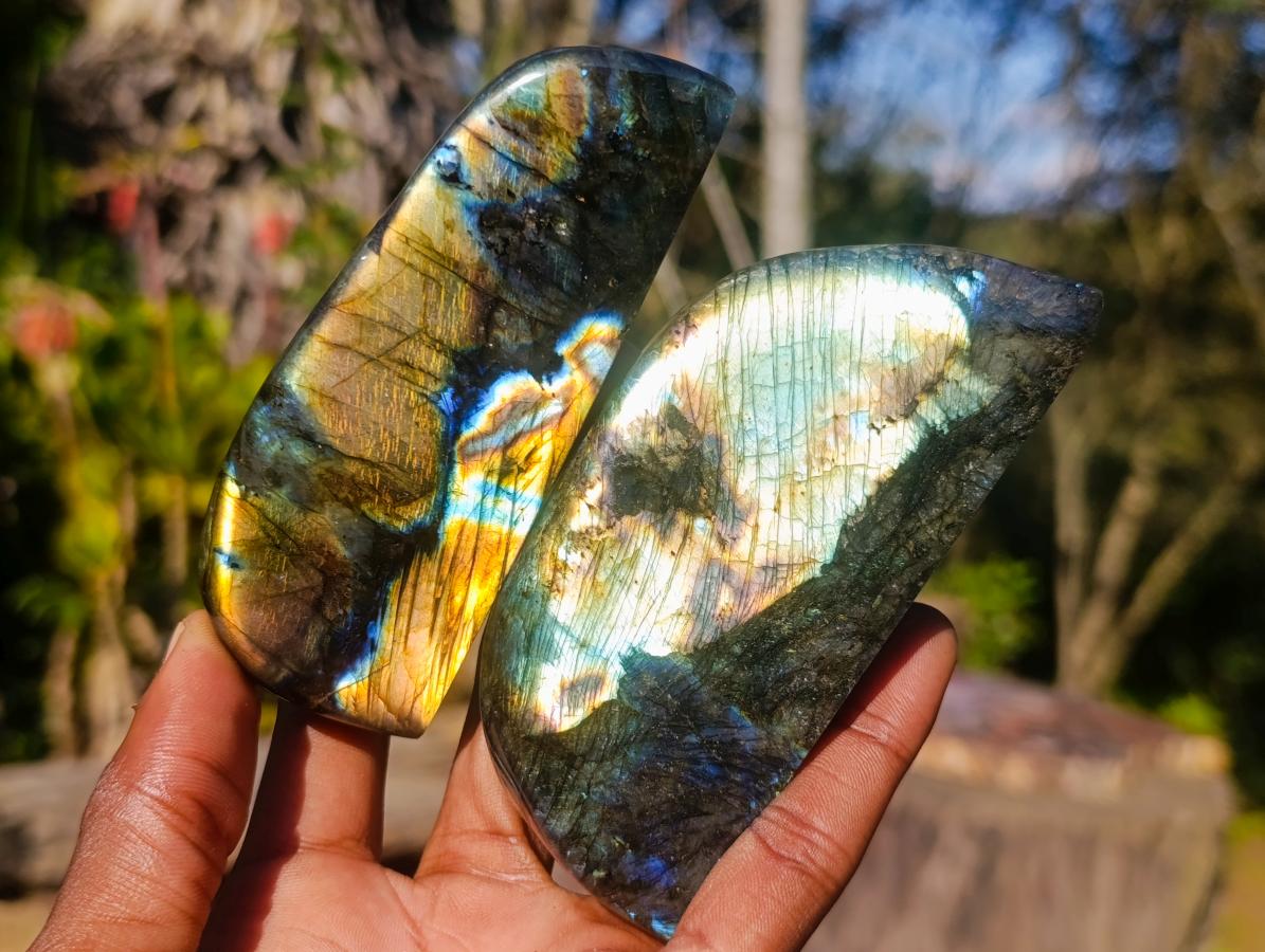 Polished Rare Labradorite Standing Display Pieces x 6 From Madagascar - Toprock Gemstones and Minerals 