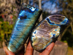 Polished Rare Labradorite Standing Display Pieces x 6 From Madagascar - Toprock Gemstones and Minerals 