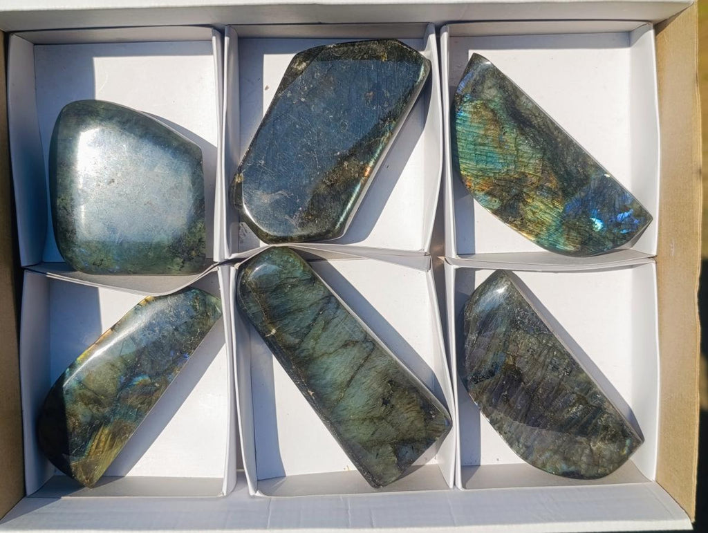 Polished Rare Labradorite Standing Display Pieces x 6 From Madagascar - Toprock Gemstones and Minerals 
