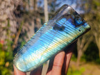 Polished Rare Labradorite Standing Display Pieces x 6 From Madagascar - Toprock Gemstones and Minerals 