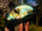 Polished Rare Labradorite Standing Display Pieces x 6 From Madagascar - Toprock Gemstones and Minerals 