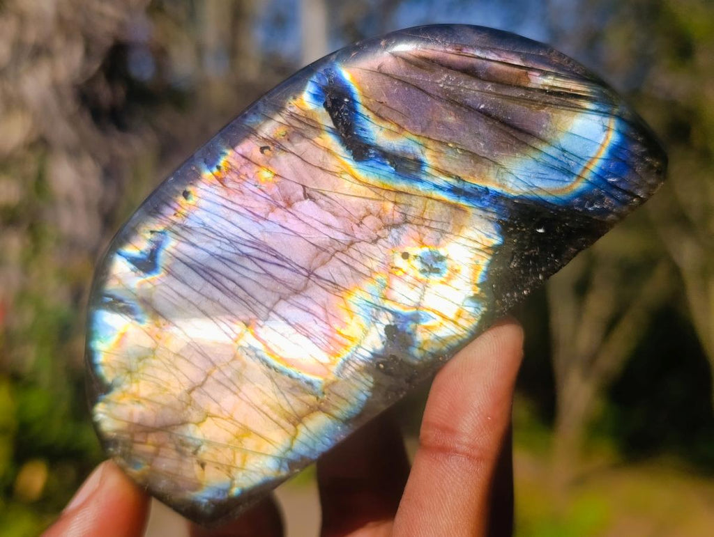 Polished Rare Labradorite Standing Display Pieces x 6 From Madagascar - Toprock Gemstones and Minerals 