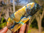 Polished Rare Labradorite Standing Display Pieces x 6 From Madagascar - Toprock Gemstones and Minerals 
