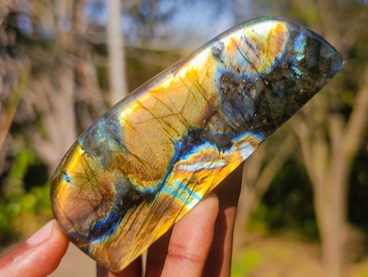 Polished Rare Labradorite Standing Display Pieces x 6 From Madagascar - Toprock Gemstones and Minerals 