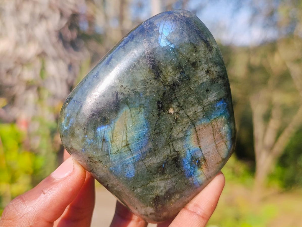 Polished Rare Labradorite Standing Display Pieces x 6 From Madagascar - Toprock Gemstones and Minerals 
