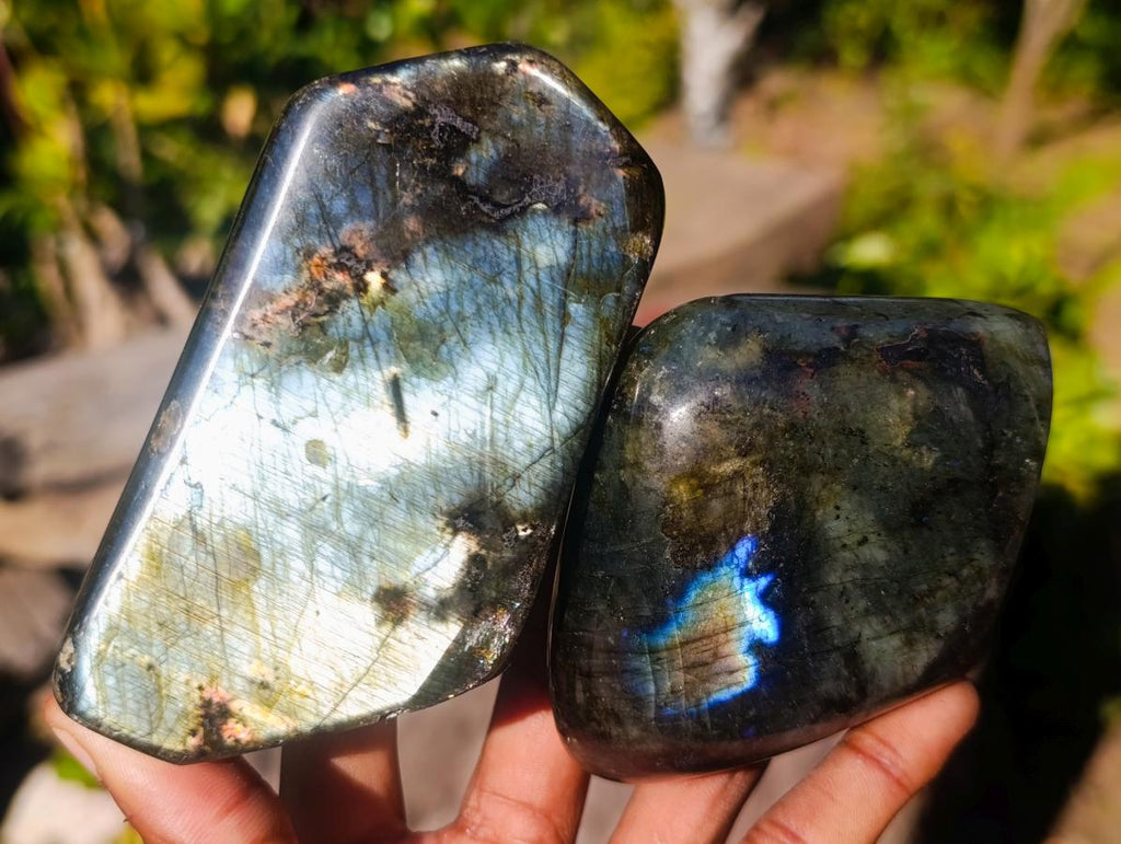 Polished Rare Labradorite Standing Display Pieces x 6 From Madagascar - Toprock Gemstones and Minerals 