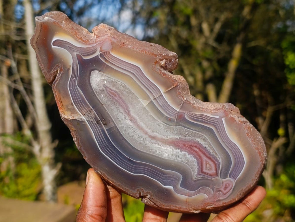 Polished One Side Red Shashe River Agate Nodules x 3 From Shashe River, Zimbabwe - Toprock Gemstones and Minerals 