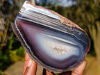 Polished One Side Red Shashe River Agate Nodules x 3 From Shashe River, Zimbabwe - Toprock Gemstones and Minerals 