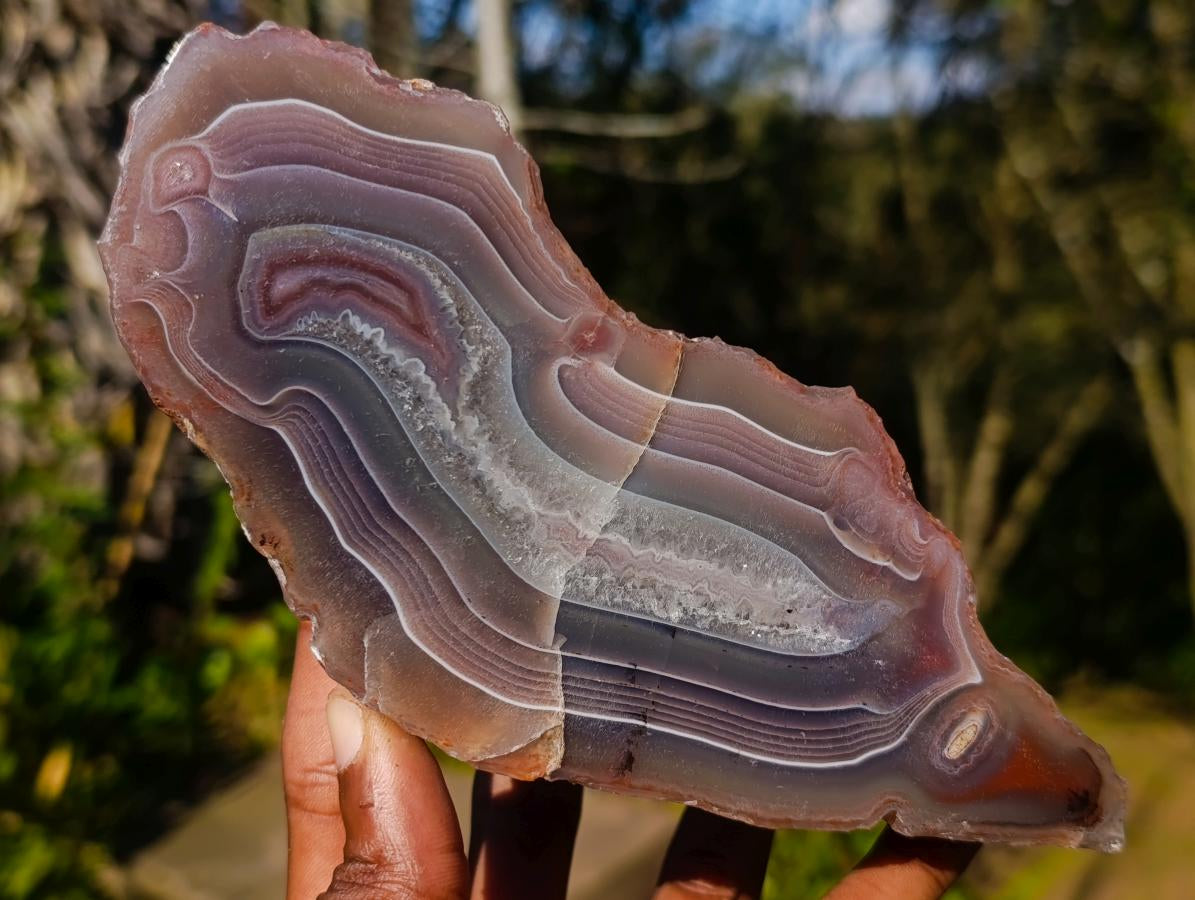 Polished One Side Red Shashe River Agate Nodules x 3 From Shashe River, Zimbabwe - Toprock Gemstones and Minerals 