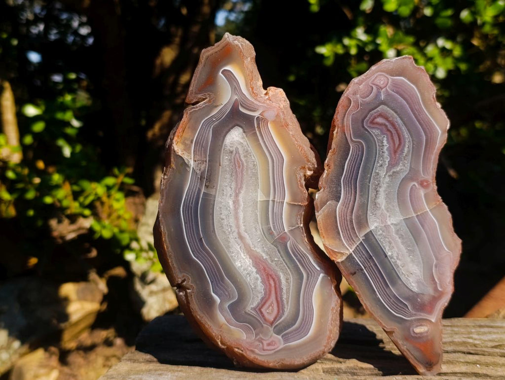 Polished One Side Red Shashe River Agate Nodules x 3 From Shashe River, Zimbabwe - Toprock Gemstones and Minerals 