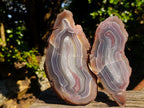Polished One Side Red Shashe River Agate Nodules x 3 From Shashe River, Zimbabwe - Toprock Gemstones and Minerals 