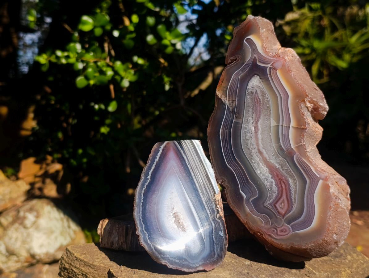 Polished One Side Red Shashe River Agate Nodules x 3 From Shashe River, Zimbabwe - Toprock Gemstones and Minerals 