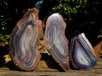 Polished One Side Red Shashe River Agate Nodules x 3 From Shashe River, Zimbabwe - Toprock Gemstones and Minerals 