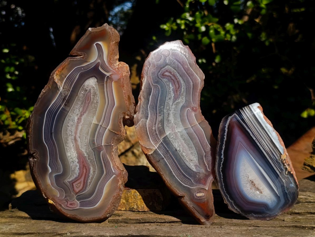 Polished One Side Red Shashe River Agate Nodules x 3 From Shashe River, Zimbabwe - Toprock Gemstones and Minerals 