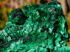 Natural Silky Malachite Cabinet Specimens x 2 From Kasompe, Congo