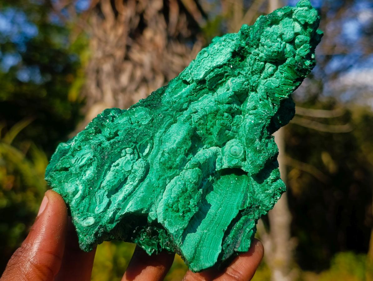 Natural Silky Malachite Cabinet Specimens x 2 From Kasompe, Congo