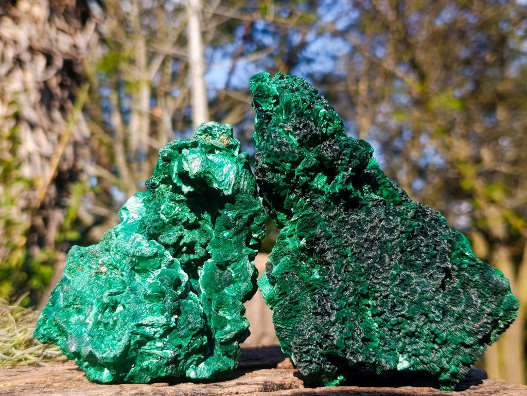 Natural Silky Malachite Cabinet Specimens x 2 From Kasompe, Congo