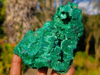Natural Silky Malachite Cabinet Specimens x 2 From Kasompe, Congo