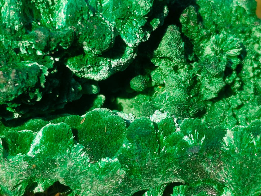 Natural Silky Malachite Cabinet Specimens x 2 From Kasompe, Congo