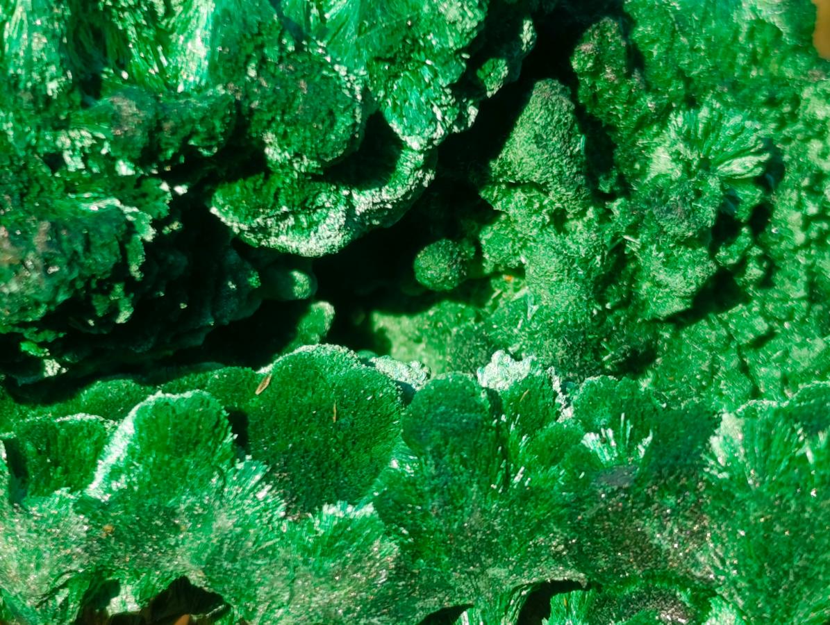 Natural Silky Malachite Cabinet Specimens x 2 From Kasompe, Congo