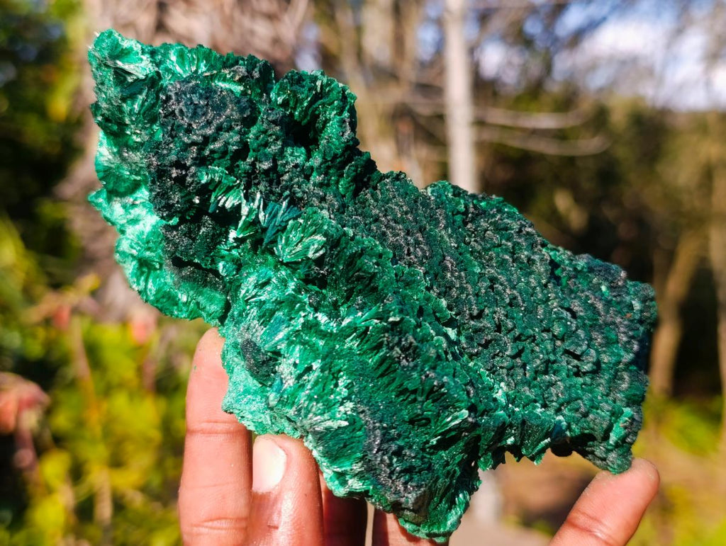 Natural Silky Malachite Cabinet Specimens x 2 From Kasompe, Congo