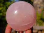 Polished Gemmy Star Rose Quartz Spheres x 3 From Madagascar