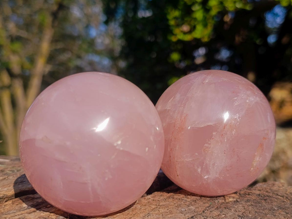 Polished Gemmy Star Rose Quartz Spheres x 3 From Madagascar
