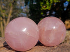 Polished Gemmy Star Rose Quartz Spheres x 3 From Madagascar