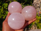 Polished Gemmy Star Rose Quartz Spheres x 3 From Madagascar