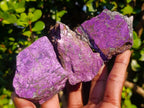 Natural Metallic Cobbed Purpurite Specimens x 12 From Erongo, Namibia - Toprock Gemstones and Minerals 