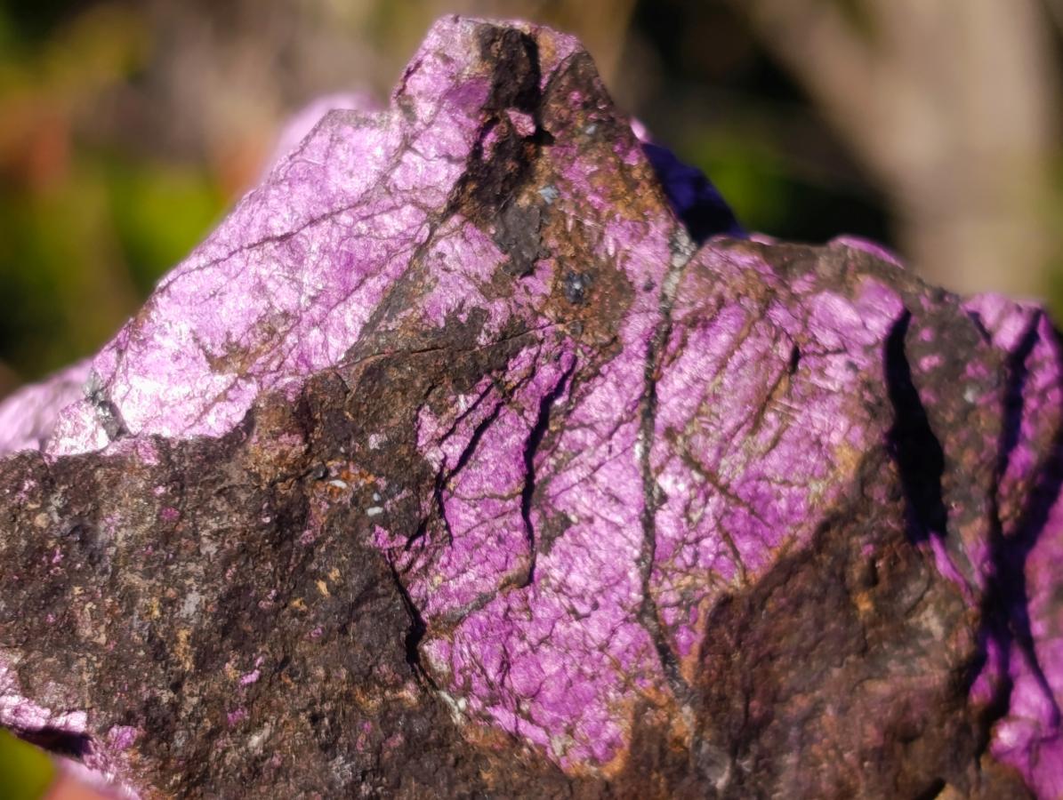 Natural Metallic Cobbed Purpurite Specimens x 12 From Erongo, Namibia - Toprock Gemstones and Minerals 