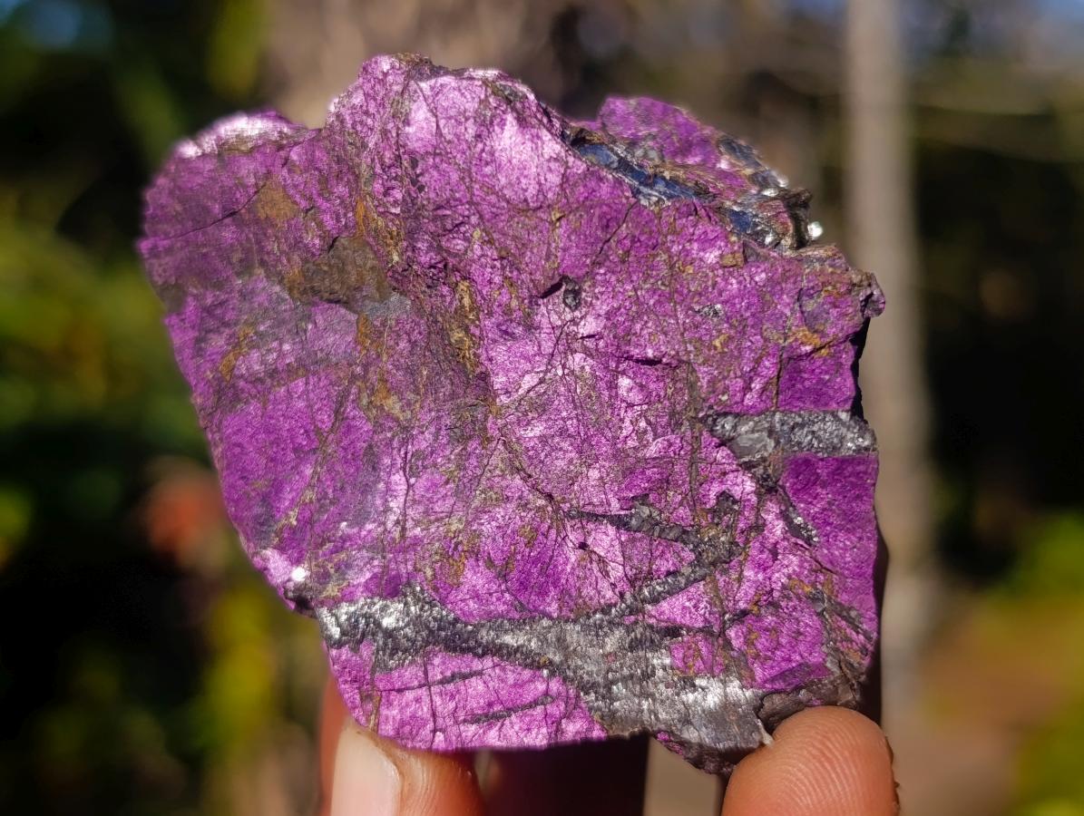 Natural Metallic Cobbed Purpurite Specimens x 12 From Erongo, Namibia - Toprock Gemstones and Minerals 