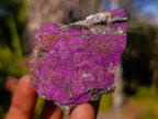 Natural Metallic Cobbed Purpurite Specimens x 12 From Erongo, Namibia - Toprock Gemstones and Minerals 
