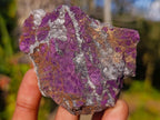 Natural Metallic Cobbed Purpurite Specimens x 12 From Erongo, Namibia - Toprock Gemstones and Minerals 