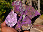 Natural Metallic Cobbed Purpurite Specimens x 12 From Erongo, Namibia - Toprock Gemstones and Minerals 