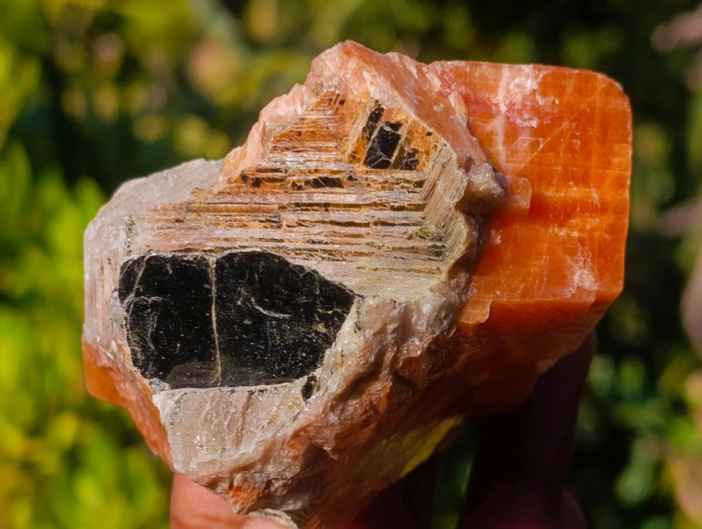 Natural Rhombohedral Sunset Orange Calcite Specimens x 12 From Spitzkop, Namibia - Toprock Gemstones and Minerals 