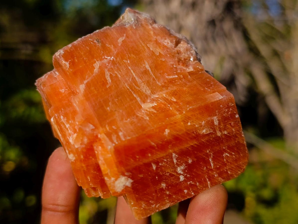 Natural Rhombohedral Sunset Orange Calcite Specimens x 12 From Spitzkop, Namibia - Toprock Gemstones and Minerals 