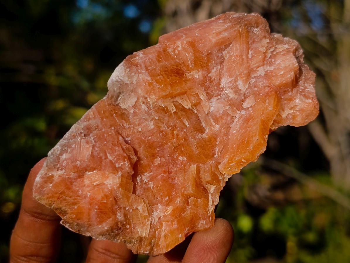 Natural Rhombohedral Sunset Orange Calcite Specimens x 12 From Spitzkop, Namibia - Toprock Gemstones and Minerals 