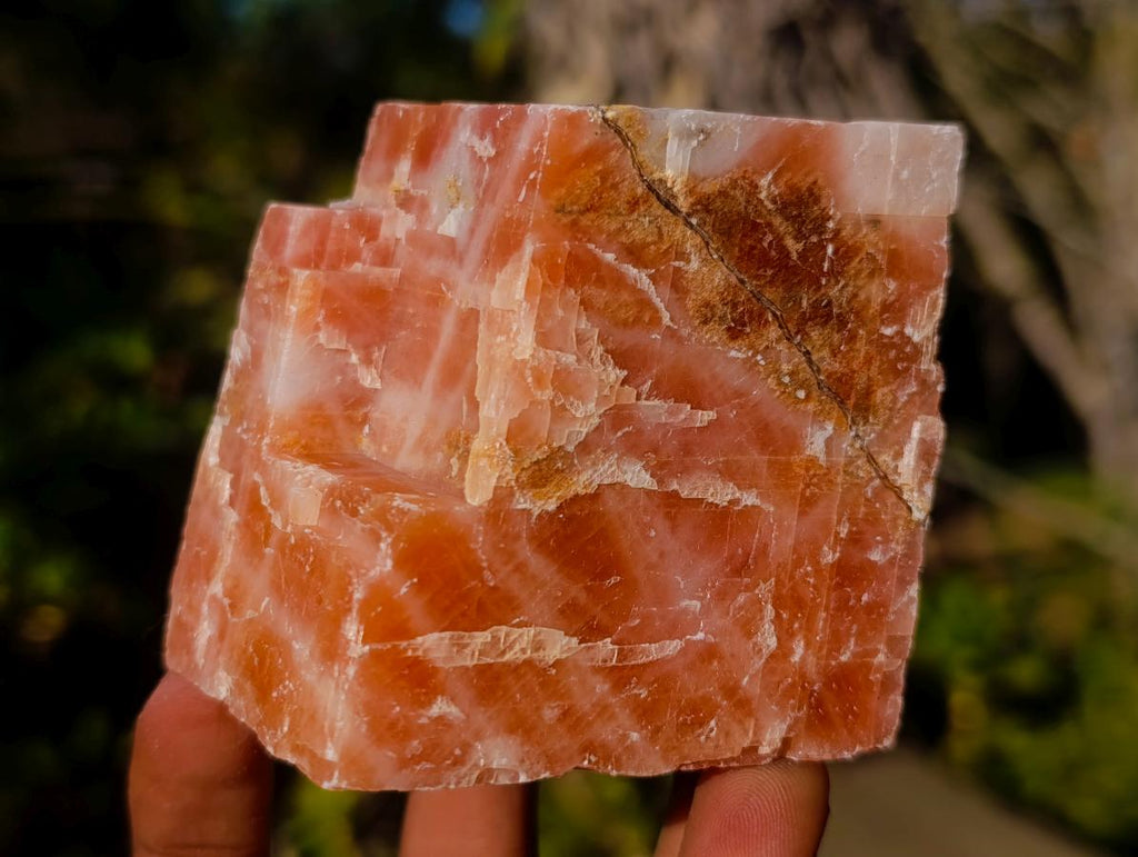 Natural Rhombohedral Sunset Orange Calcite Specimens x 12 From Spitzkop, Namibia - Toprock Gemstones and Minerals 