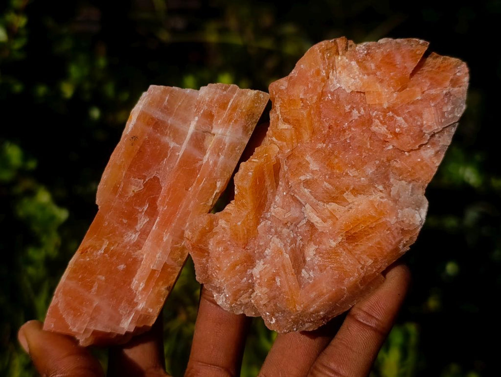 Natural Rhombohedral Sunset Orange Calcite Specimens x 12 From Spitzkop, Namibia - Toprock Gemstones and Minerals 