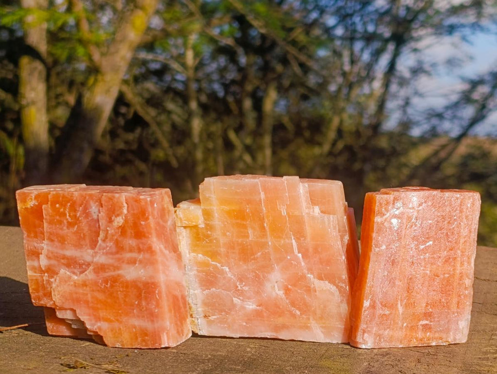 Natural Rhombohedral Sunset Orange Calcite Specimens x 12 From Spitzkop, Namibia - Toprock Gemstones and Minerals 