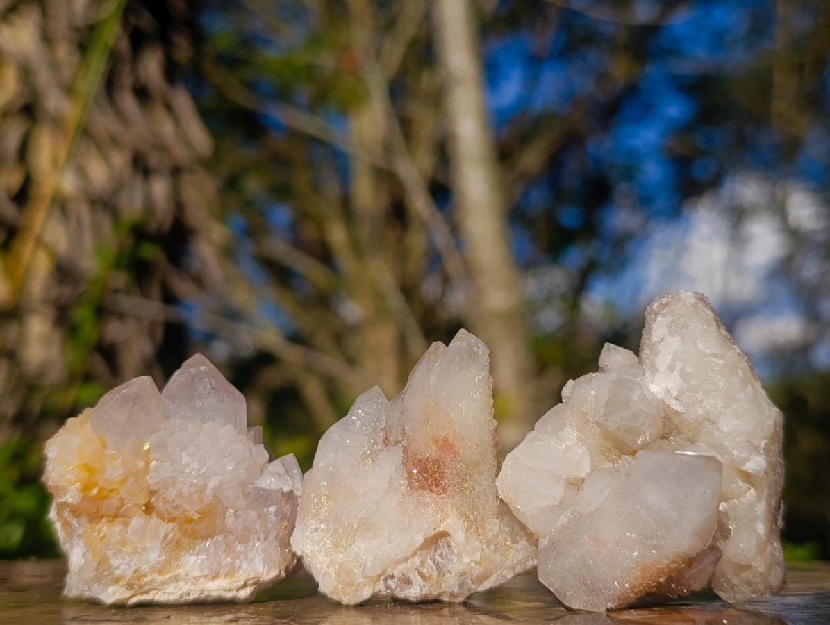 Natural White Spirit Quartz Crystal Clusters x 35 From Boekenhouthoek, South Africa - Toprock Gemstones and Minerals 